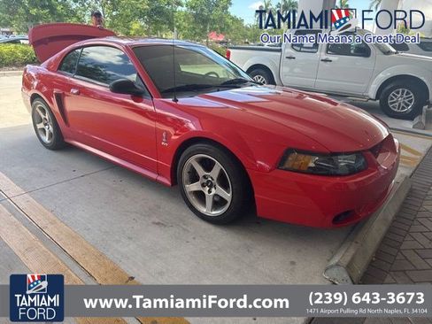Used 2001 Ford Mustang Cobra RWD image 1
