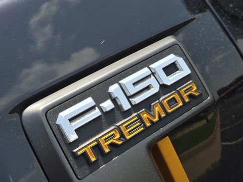 Used 2022 Ford F150 Tremor w/ Equipment Group 402A High AWD/4WD image 11