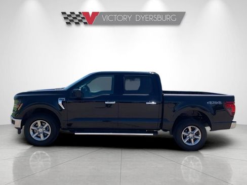 Used 2025 Ford F150 XLT w/ Equipment Group 301A Standard AWD/4WD image 5
