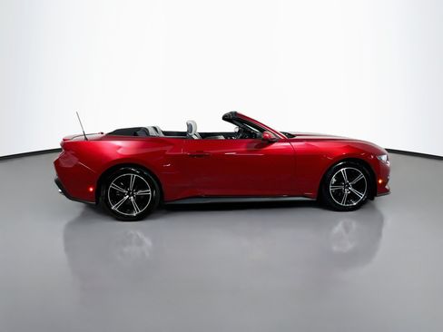Used 2024 Ford Mustang Premium RWD image 3