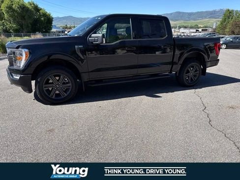 Used 2023 Ford F150 XLT w/ Equipment Group 302A High AWD/4WD image 2