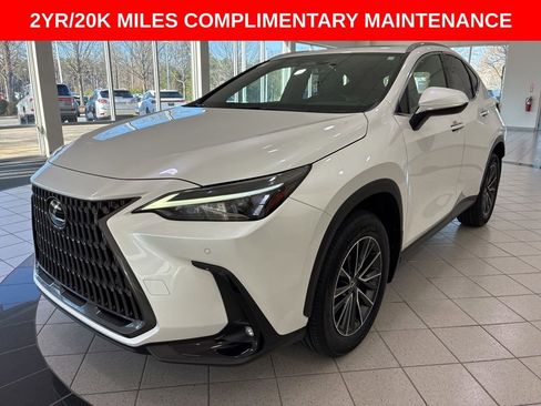 Certified 2024 Lexus NX 350 AWD image 3