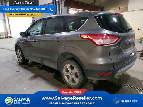 Used 2014 Ford Escape SE image 3