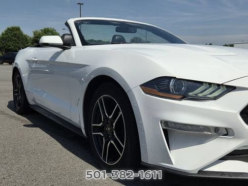 Used 2019 Ford Mustang Premium RWD image 16