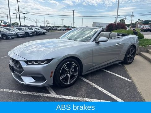 Used 2024 Ford Mustang Premium RWD image 7