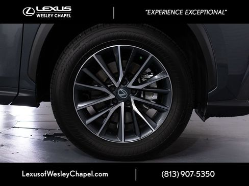 Certified 2026 Lexus NX 350 AWD w/ Cold Area Package image 3