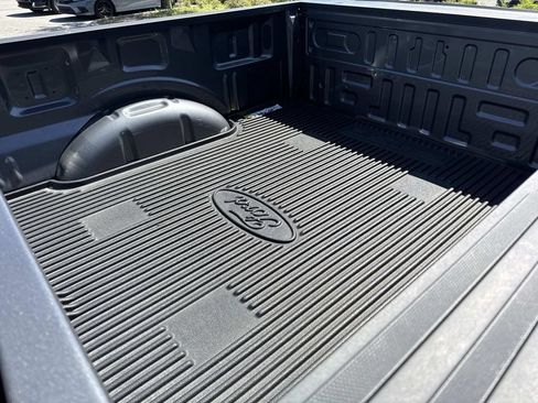 Used 2024 Ford F150 STX w/ STX Black Appearance Package AWD/4WD image 13