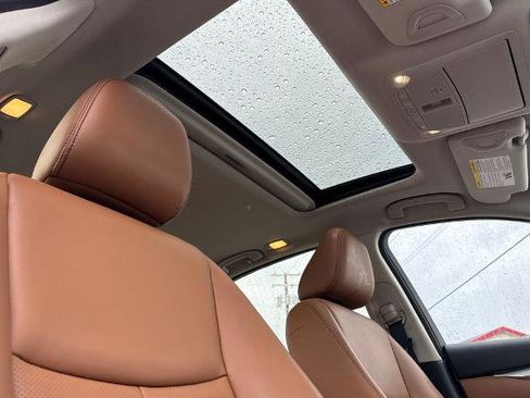 Certified 2023 INFINITI Q50 Luxe w/ Cargo Package image 15