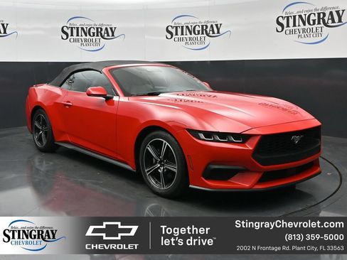 Used 2024 Ford Mustang Premium RWD image 1