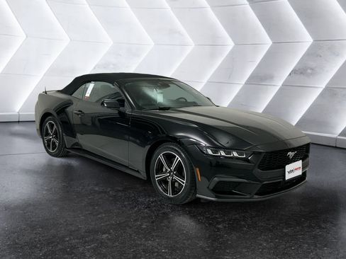 Used 2024 Ford Mustang Premium image 1