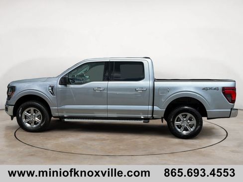 Used 2025 Ford F150 XLT w/ Equipment Group 301A Standard AWD/4WD image 6