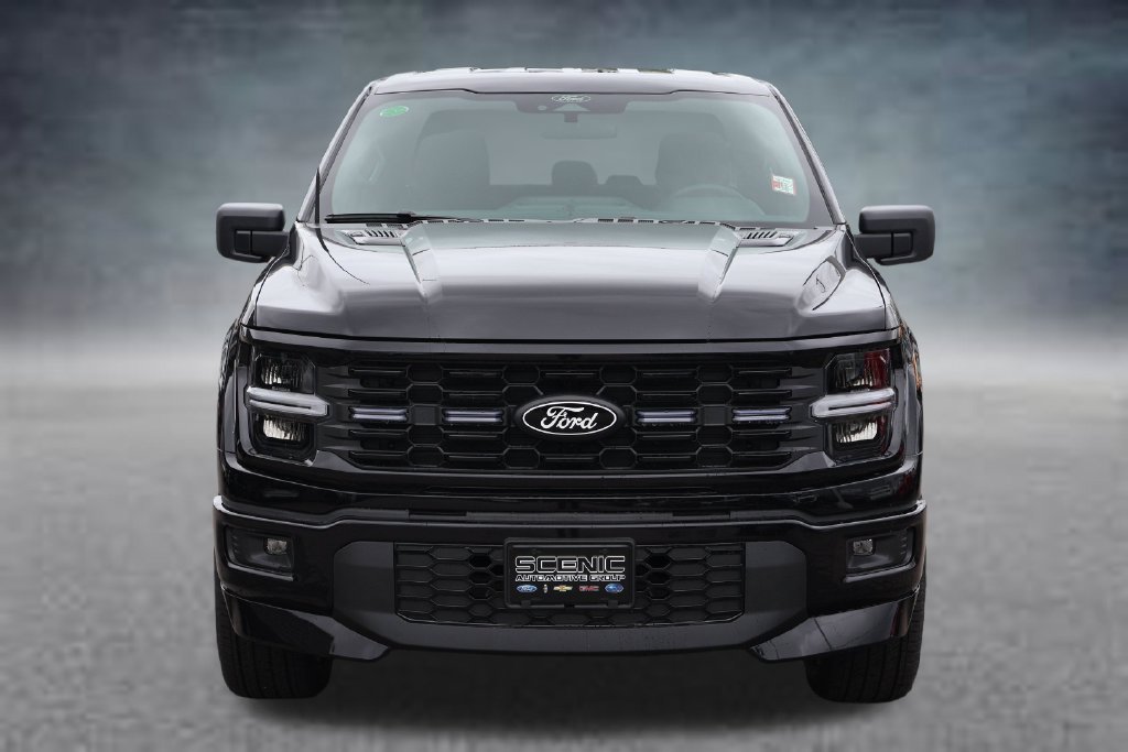 New 2026 Ford F150 STX w/ F-150 LOBO Package AWD/4WD image 27