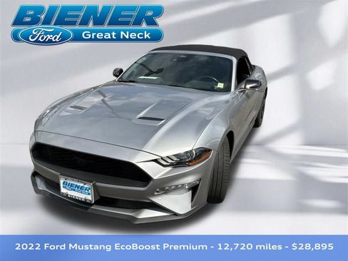 Used 2022 Ford Mustang Premium w/ Equipment Group 201A RWD image 1