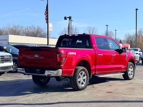 Used 2025 Ford F150 XLT w/ Equipment Group 301A Standard AWD/4WD image 8