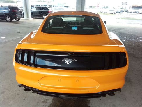 Used 2019 Ford Mustang EcoBoost Coupe w/ Equipment Group 101A image 6