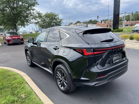 Used 2025 Lexus NX 350h AWD w/ Cold Area Package image 5