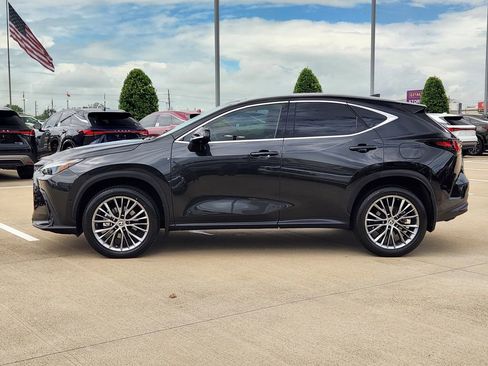 Certified 2022 Lexus NX 350h AWD w/ Vision Package image 4