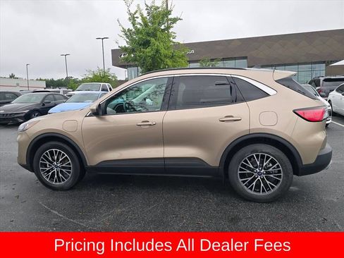 Used 2021 Ford Escape SEL w/ Technology Package FWD image 6