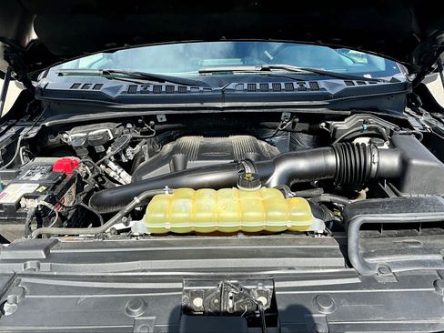Used 2019 Ford F150 XLT w/ Equipment Group 302A Luxury AWD/4WD image 31