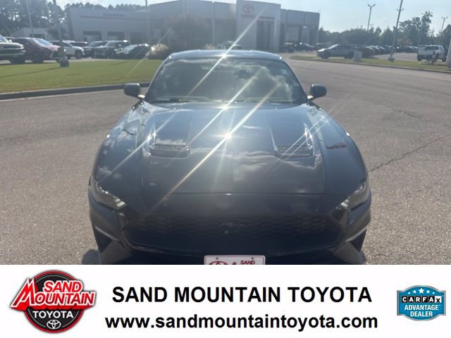 Used 2023 Ford Mustang Coupe w/ Equipment Group 101A RWD image 7
