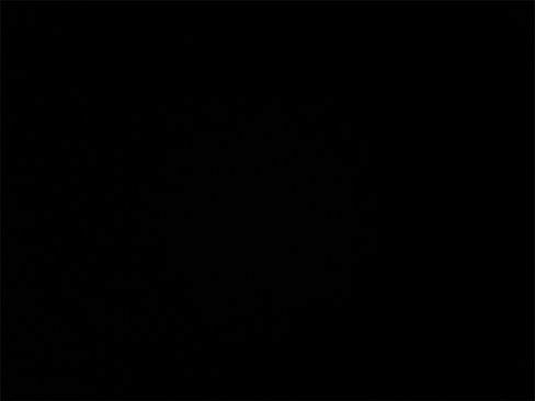 Used 2021 Honda Accord Sport Special Edition image 31