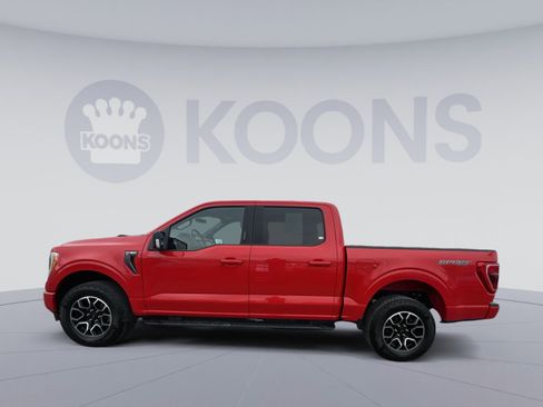 Used 2023 Ford F150 XLT w/ Equipment Group 302A High image 2