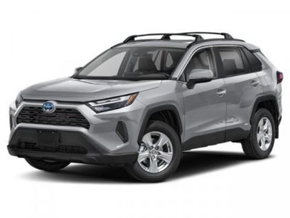 New 2025 Toyota RAV4 XLE Premium w/ Weather Package