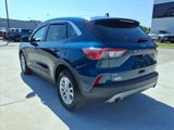 Used 2020 Ford Escape SE image 3