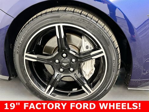 Used 2019 Ford Mustang GT Premium w/ California Special Package image 10