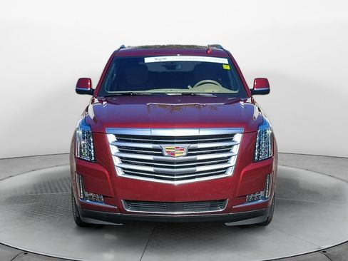 Used 2019 Cadillac Escalade Platinum AWD/4WD image 2