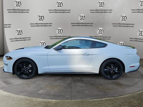 Used 2023 Ford Mustang Coupe w/ Equipment Group 101A RWD image 2