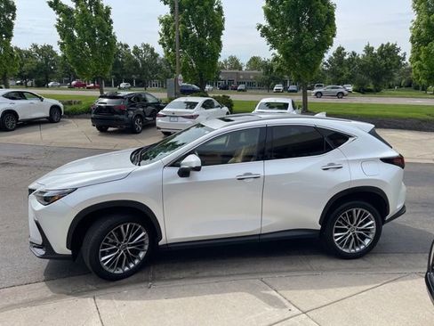 Used 2023 Lexus NX 350 AWD image 6
