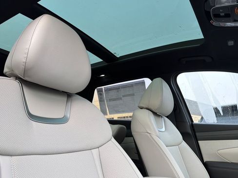 New 2026 Hyundai Tucson Limited image 15