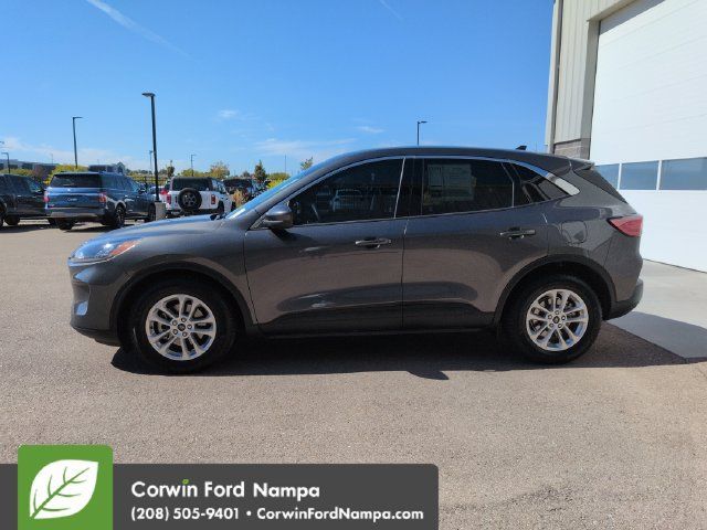 Used 2020 Ford Escape SE FWD image 6