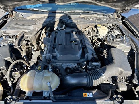 Used 2017 Ford Mustang Coupe image 24