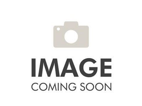 Used 2024 Ford Mustang GT Premium image 1