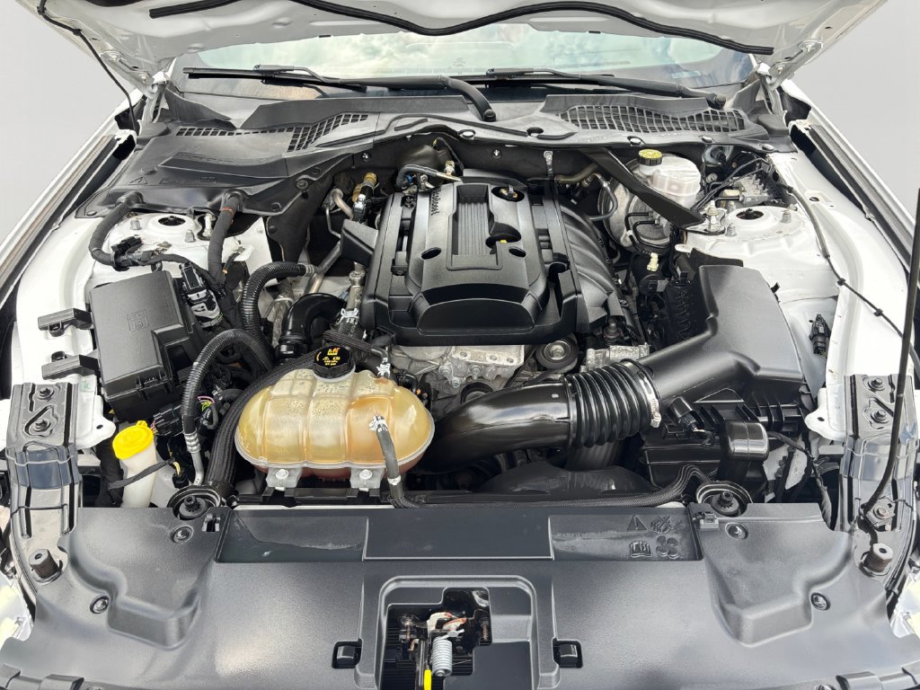 Used 2019 Ford Mustang Premium RWD image 9