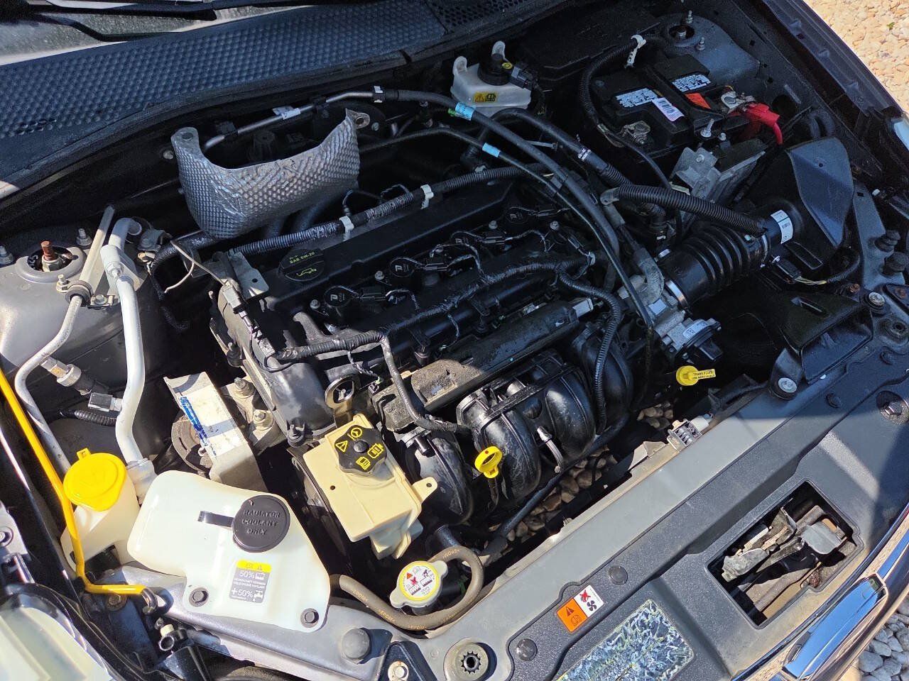 Used 2010 Ford Focus SE FWD image 12