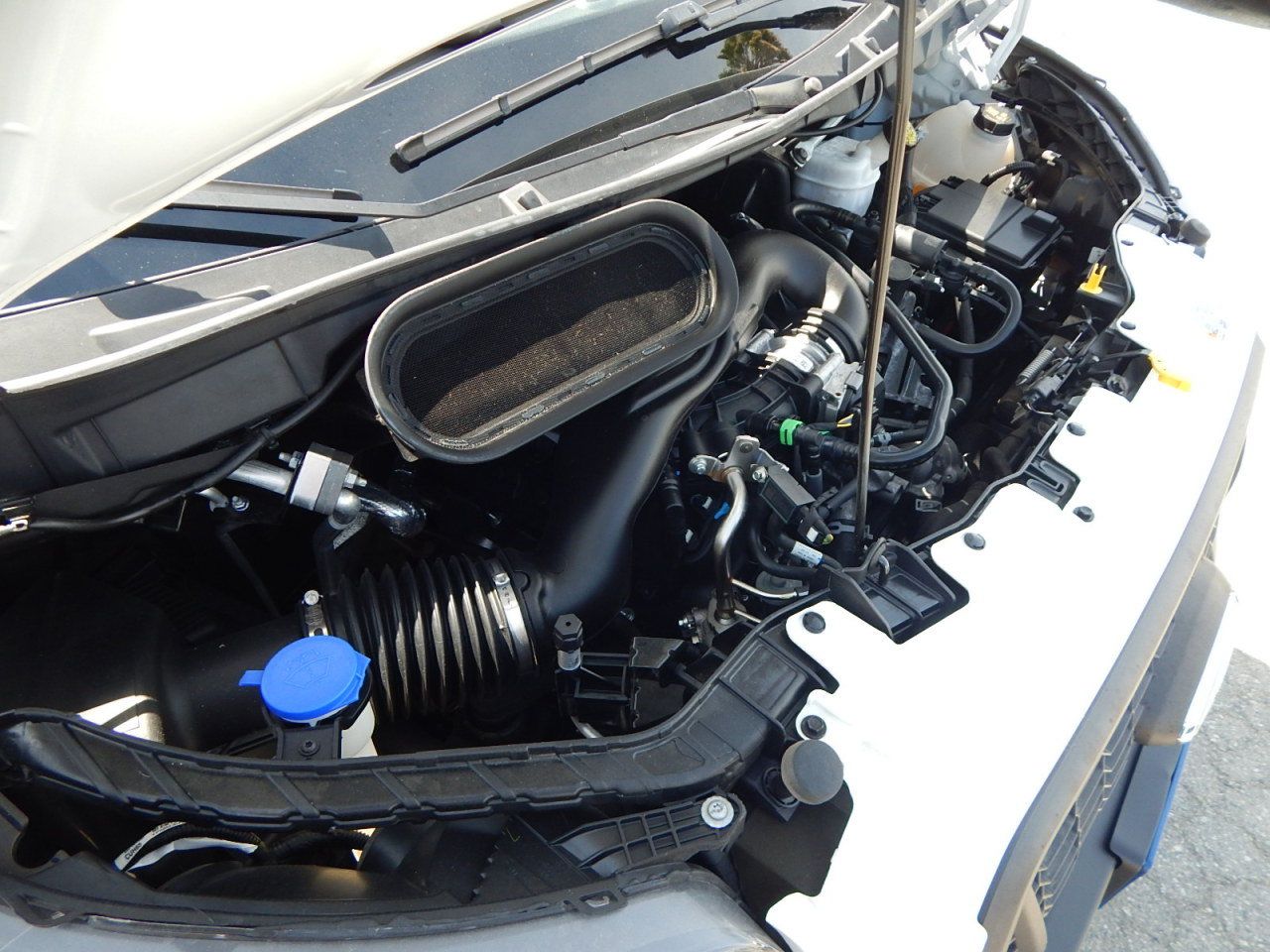 Used 2023 Ford Transit 250 148 High Roof Extended w/ Load Area Protection Package RWD image 26