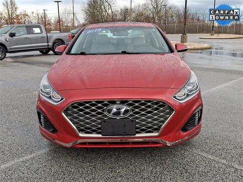 Used 2019 Hyundai Sonata Limited image 2