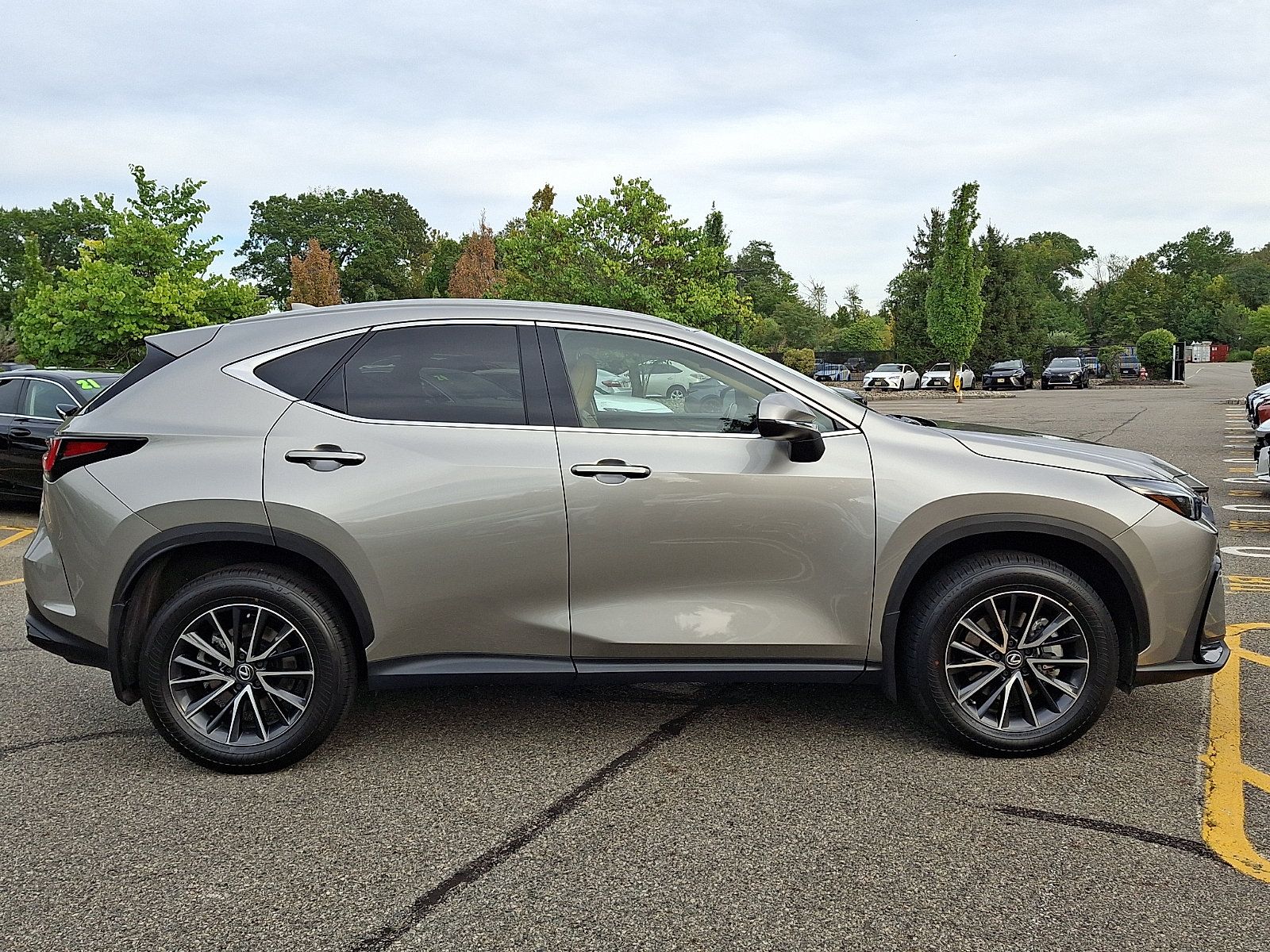 Certified 2024 Lexus NX 350 AWD image 8