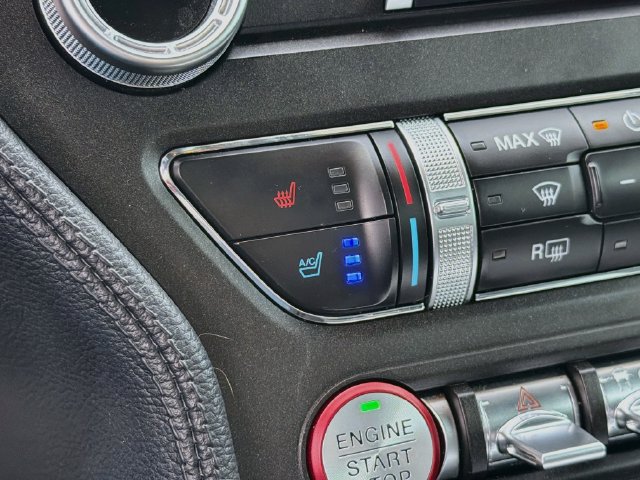 Used 2019 Ford Mustang GT Premium w/ Equipment Group 401A RWD image 21