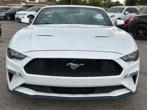 Used 2020 Ford Mustang Premium RWD image 4