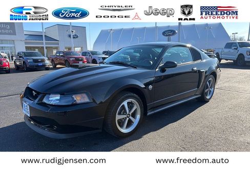 Used 2004 Ford Mustang Mach 1 image 1