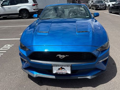 Used 2019 Ford Mustang Premium w/ Equipment Group 201A RWD image 2