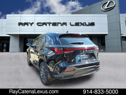 Certified 2023 Lexus NX 350 AWD image 6