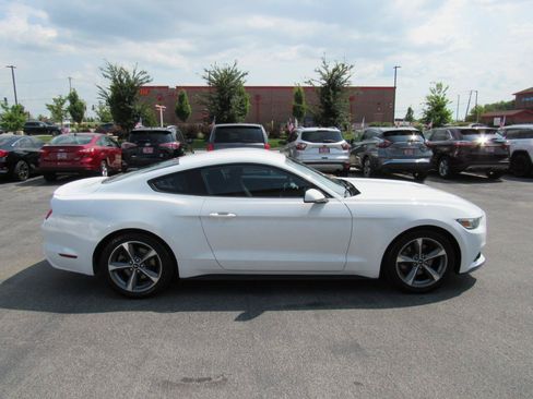 Used 2016 Ford Mustang Coupe w/ Equipment Group 051A RWD image 7