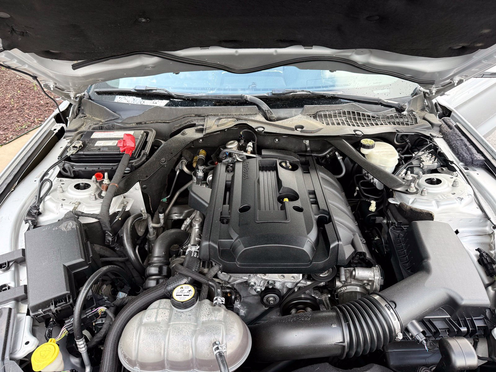 Used 2017 Ford Mustang Premium RWD image 43