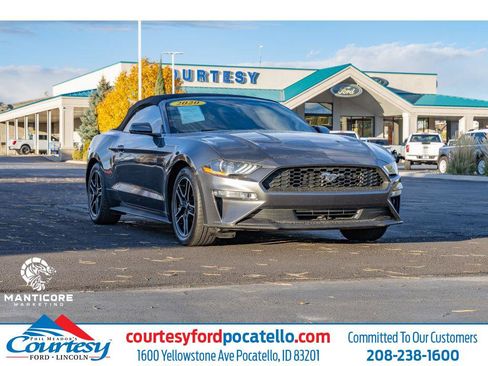 Used 2020 Ford Mustang Premium image 1
