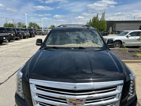 Used 2019 Cadillac Escalade ESV Platinum AWD/4WD image 11